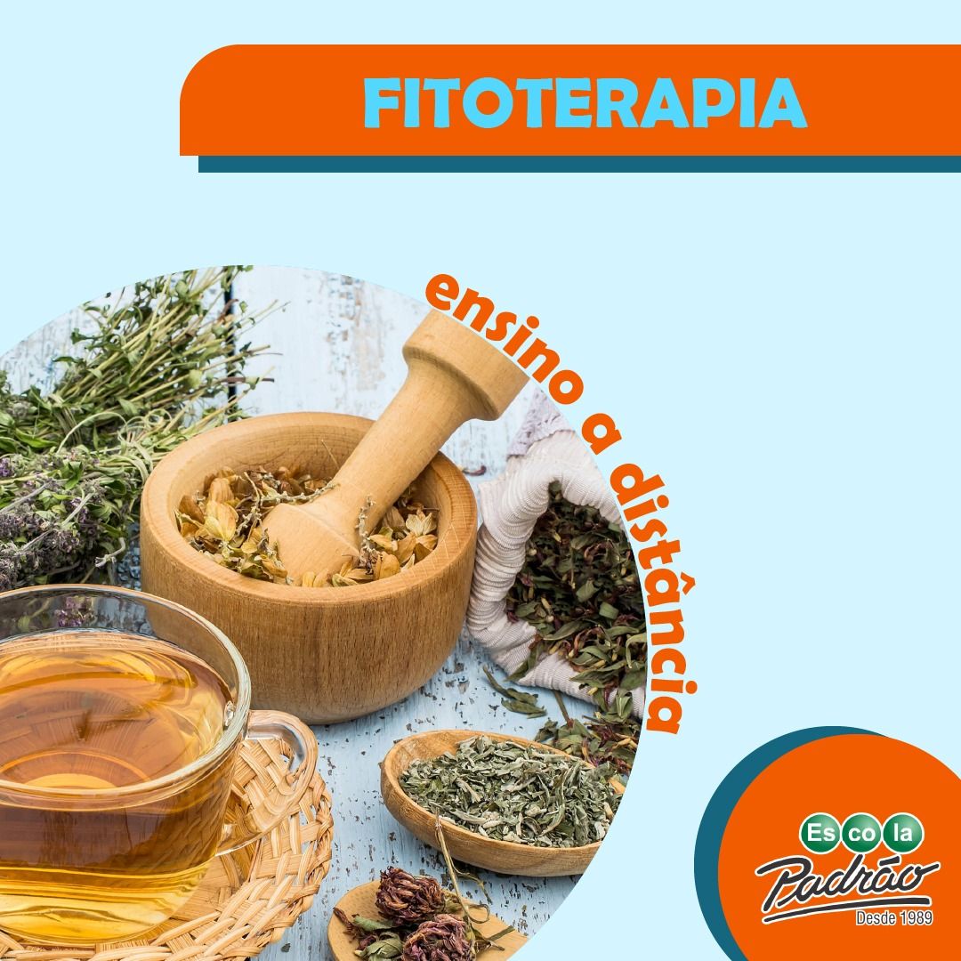 Imagem de Curso de Fitoterapia Online | Do Básico ao Avançado | Escola Padrão criado por ESCOLA PADRÃO na hotmart