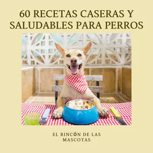 Imagen de portada para Curso online  60 Recetas Caseras y Saludables para Perros