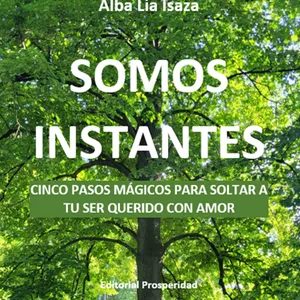 Imagen de portada para Ebook Libro Electrónico SOMOS INSTANTES: Cinco pasos mágicos para soltar a tú ser querido con amor