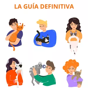 Imagen de portada para Ebook El Gato Educado. La Guía Definitiva