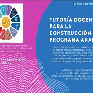 Imagen de portada para Curso online Tutoría docente para la construcción del programa analítico.