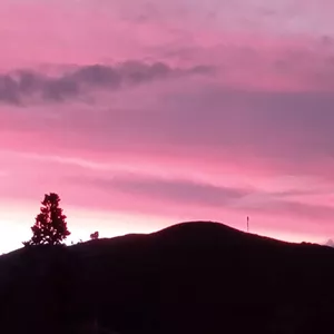 Cover image for Online course Ayúdanos a seguir creciendo 