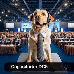 Imagen de portada para Curso online Capacitador externo DC5