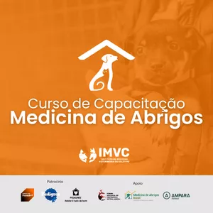 Imagem de capa para o Curso online Curso de Capacitação em Medicina de Abrigos