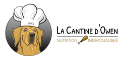 La Cantine d'Owen - Formations logo