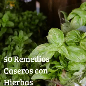 Imagen de portada para Ebook Botiquín natural , 50 remedios caseros con hierbas medicinales 