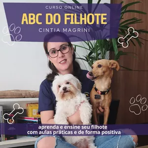Capa do curso 