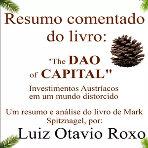 Imagem de capa para o Ebook Resumo Comentado do livro "The Dao of Capital"
