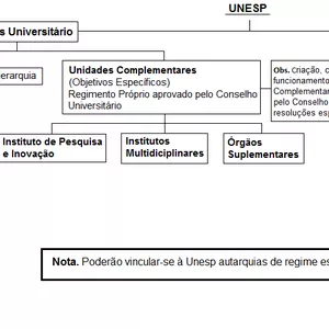 Imagem de capa para o Ebook Resumo Estatuto da UNESP