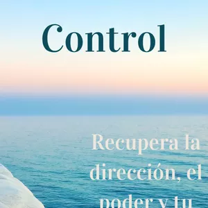 Imagen de portada para Ebook Del Caos Al Control
