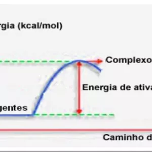 Curso Bioenergética