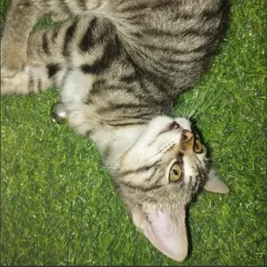 Imagen de portada para Curso online One Dmon