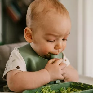 Imagem de capa para o Ebook Introdução Alimentar do Bebê