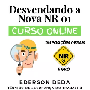 Imagem do curso DESVENDANDO A NOVA NR 01