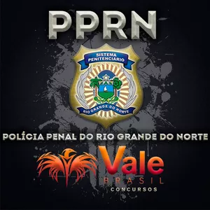 Imagem principal do produto Curso Polícia Penal do Rio Grande do Norte - PPRN (Agepen RN).💀