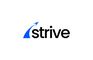 strive education 🚀