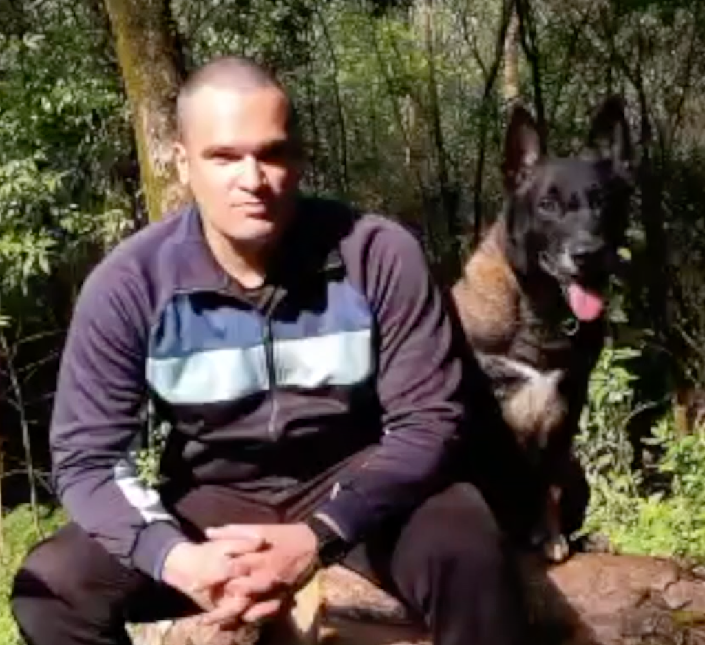 Cão Blues