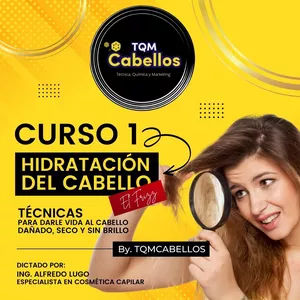 Imagen de portada para Curso online La Ciencia del Cabello: Hidratación, Nutrición y Reparación.