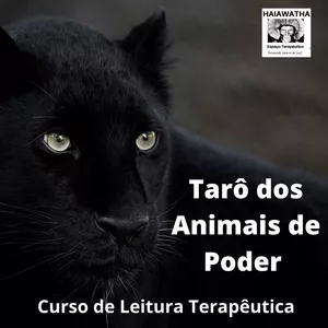 Imagem de capa para o Curso online Curso Cartas Xamânicas dos Animais de Poder
