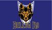 Bellum K9's Training System 
