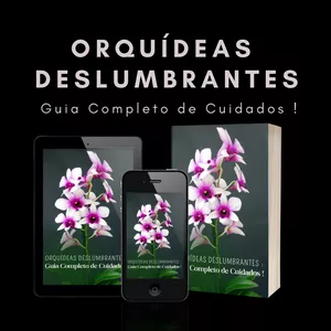 Imagem de Orquídeas Deslumbrantes : Guia Completo de Cuidados !  criado por George José Santos Lima na hotmart