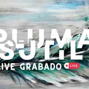 Imagen de portada para Curso online Live Grabado - Pluma Sutil
