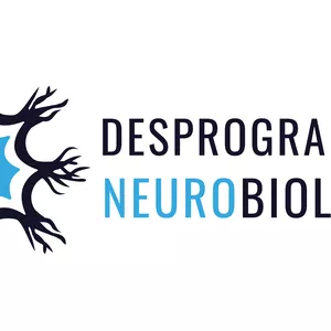 Imagem de capa para o Curso online Áudio de Desprogramação  Neurobiológica - Doença inflamatória intestinal – Felino –  com a Deusa Bastet.