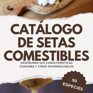 Imagen de portada para Ebook El Mundo de las Setas - Catálogo para Principiantes