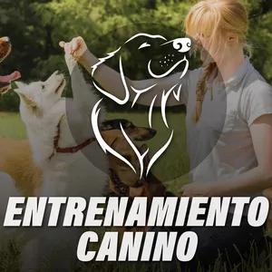 Imagen de portada para Ebook CURSO EDUCACIÓN CANINA + BONOS DE REGALO