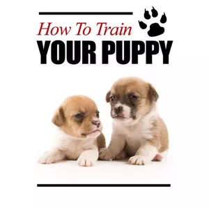 Cover image for Ebook canine training 