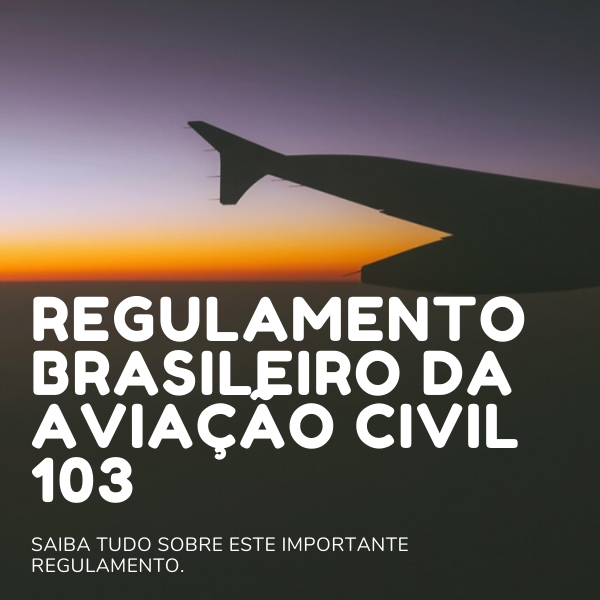Imagem do curso Regulamento Brasileiro da Aviação Civil 103