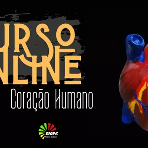 Imagem de capa para o Curso online Coração Humano - Modelos didático