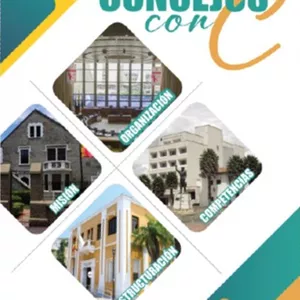 Imagen de portada para Ebook CONCEJOS CON C