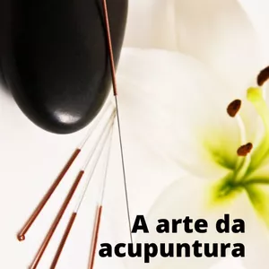 Imagem de capa para o Ebook A arte da acupuntura