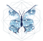 Astro Butterfly