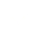 Turan Security logo