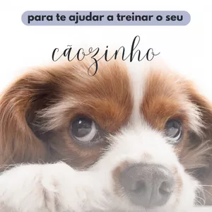 Imagem de capa para o Ebook Guia de treinamento para cães 