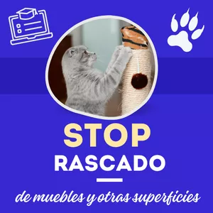 Imagen de portada para Curso online Stop Rascado!