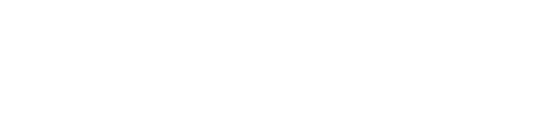 Birds on a Wire Moms logo