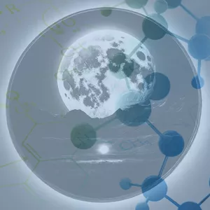 Imagem de capa para o Serviço online MENTORIA LUNA 