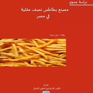 Imagem principal do produto دراسة جدوى مصنع بطاطس نصف مقلية في مصر بطاقة 1 طن/ساعة