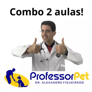 Imagem de capa para o Curso online Combo 2 aulas do Professor Pet