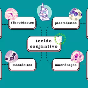 Imagem de capa para o Ebook MAPA MENTAL TECIDO CONJUNTIVO