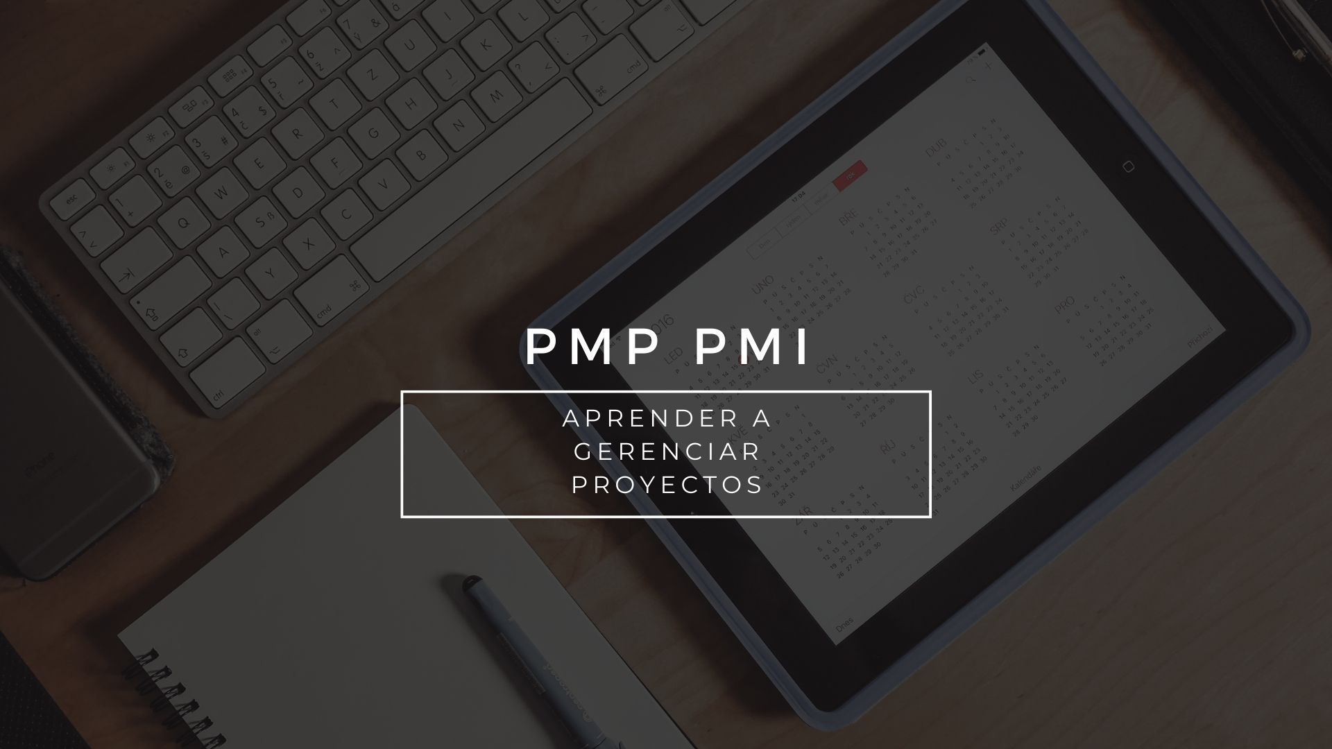 <p>Gerencia de Proyectos PMI - PMP 2023</p>
