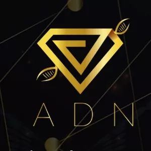 Imagen de portada para Curso online ADN ACADEMIA ONLINE DE NETWORKERS