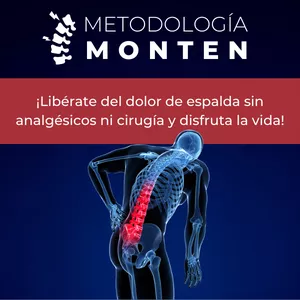 Imagen de portada para Ebook Metodología Monten