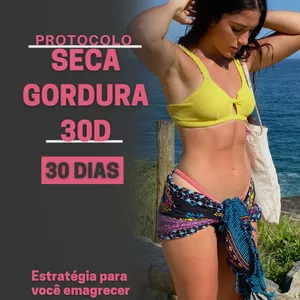 Imagem de capa para o Ebook Protocolo seca gordura 30D