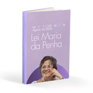 Imagem de capa para o Ebook LEI MARIA DA PENHA - RESUMO ILUSTRADO