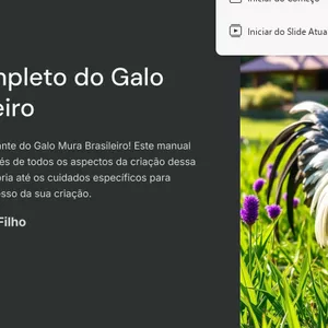 Imagem de capa para o Ebook guia para  criação  do galo Mura