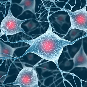 Imagen de portada para Curso online Suplementación efectiva en neuroinflamación